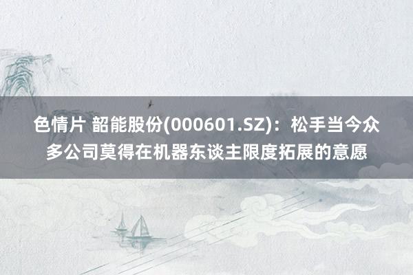 色情片 韶能股份(000601.SZ)：松手当今众多公司莫得在机器东谈主限度拓展的意愿