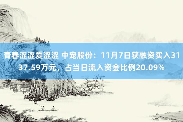 青春涩涩爱涩涩 中宠股份：11月7日获融资买入3137.59万元，占当日流入资金比例20.09%