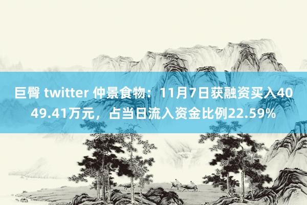 巨臀 twitter 仲景食物：11月7日获融资买入4049.41万元，占当日流入资金比例22.59%