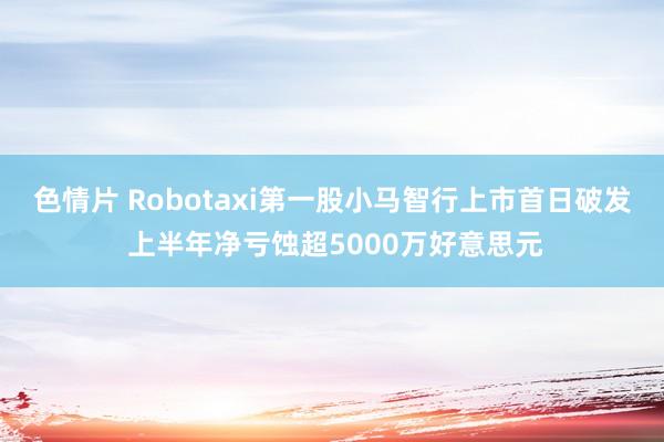 色情片 Robotaxi第一股小马智行上市首日破发 上半年净亏蚀超5000万好意思元