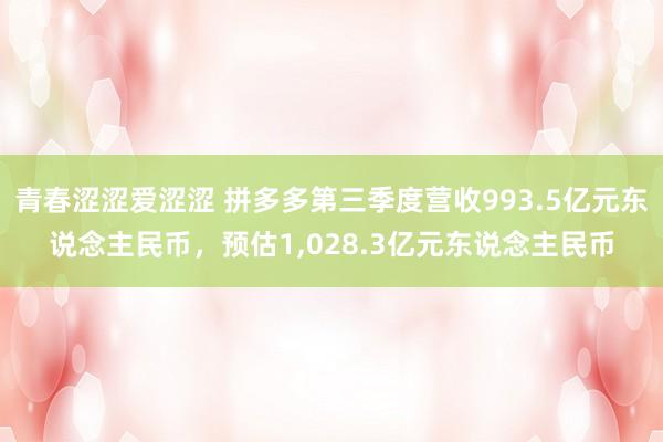 青春涩涩爱涩涩 拼多多第三季度营收993.5亿元东说念主民币，预估1，028.3亿元东说念主民币