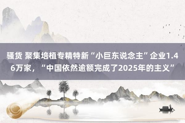 骚货 聚集培植专精特新“小巨东说念主”企业1.46万家，“中国依然逾额完成了2025年的主义”