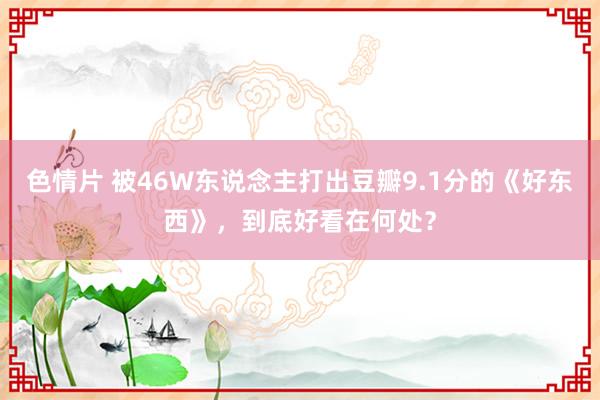 色情片 被46W东说念主打出豆瓣9.1分的《好东西》，到底好看在何处？