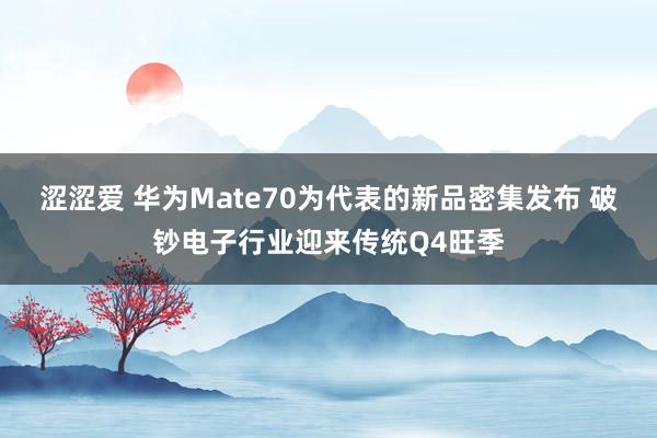 涩涩爱 华为Mate70为代表的新品密集发布 破钞电子行业迎来传统Q4旺季