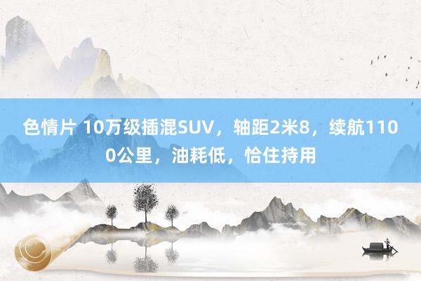 色情片 10万级插混SUV，轴距2米8，续航1100公里，油耗低，恰住持用