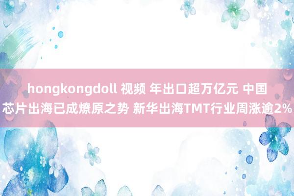 hongkongdoll 视频 年出口超万亿元 中国芯片出海已成燎原之势 新华出海TMT行业周涨逾2%