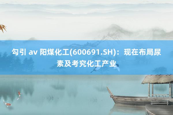 勾引 av 阳煤化工(600691.SH)：现在布局尿素及考究化工产业