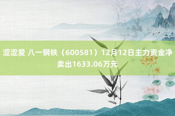 涩涩爱 八一钢铁（600581）12月12日主力资金净卖出1633.06万元