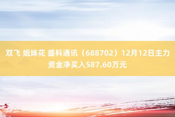 双飞 姐妹花 盛科通讯（688702）12月12日主力资金净买入587.60万元