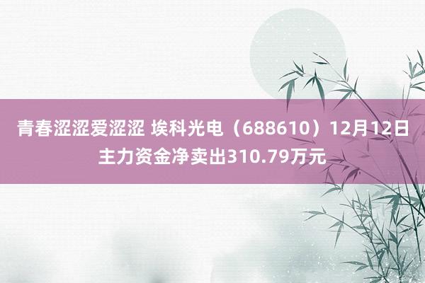 青春涩涩爱涩涩 埃科光电（688610）12月12日主力资金净卖出310.79万元