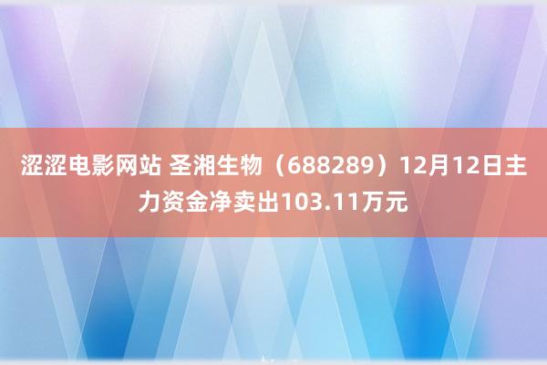 涩涩电影网站 圣湘生物（688289）12月12日主力资金净卖出103.11万元