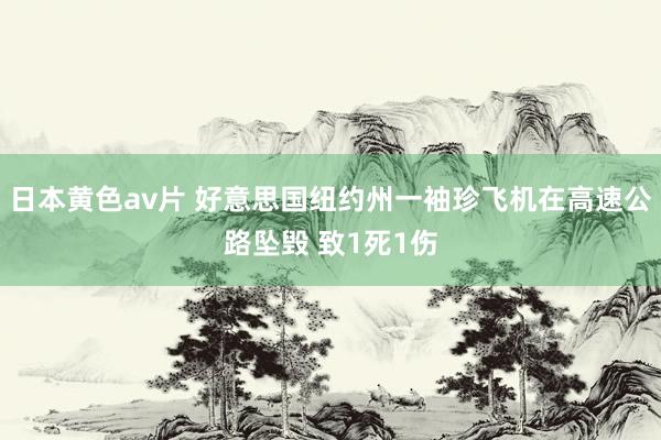 日本黄色av片 好意思国纽约州一袖珍飞机在高速公路坠毁 致1死1伤