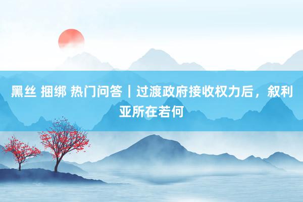 黑丝 捆绑 热门问答｜过渡政府接收权力后，叙利亚所在若何