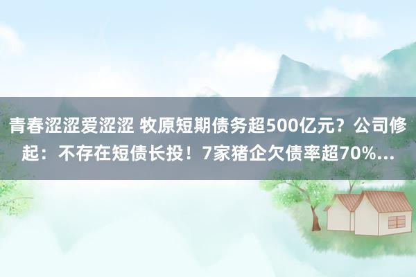 青春涩涩爱涩涩 牧原短期债务超500亿元？公司修起：不存在短债长投！7家猪企欠债率超70%...