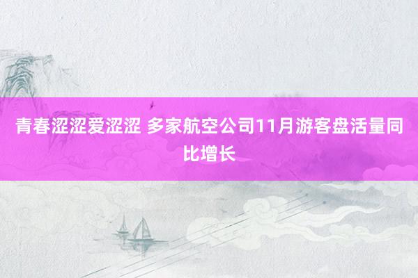 青春涩涩爱涩涩 多家航空公司11月游客盘活量同比增长