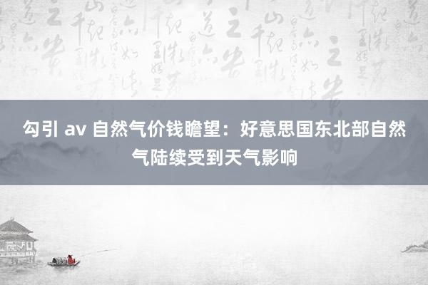 勾引 av 自然气价钱瞻望：好意思国东北部自然气陆续受到天气影响