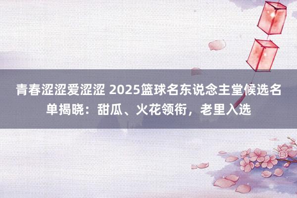 青春涩涩爱涩涩 2025篮球名东说念主堂候选名单揭晓：甜瓜、火花领衔，老里入选