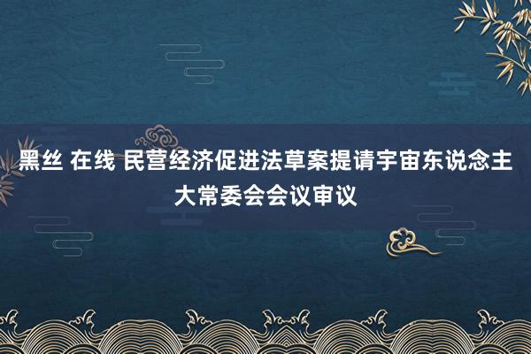 黑丝 在线 民营经济促进法草案提请宇宙东说念主大常委会会议审议