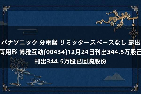 パナソニック 分電盤 リミッタースペースなし 露出・半埋込両用形 博雅互动(00434)12月24日刊出344.5万股已回购股份