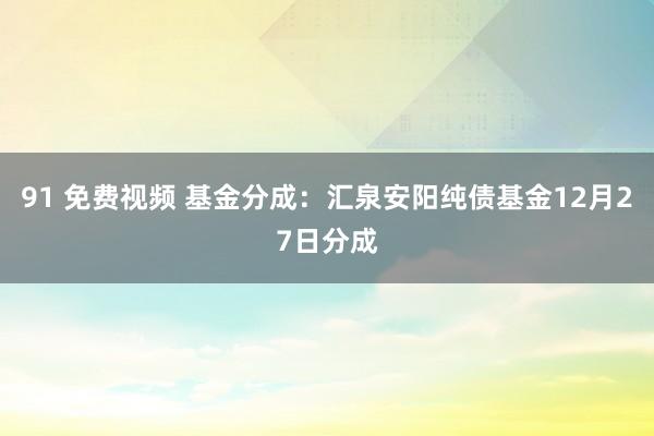 91 免费视频 基金分成：汇泉安阳纯债基金12月27日分成