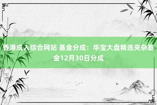 香港成人综合网站 基金分成：华宝大盘精选夹杂基金12月30日分成