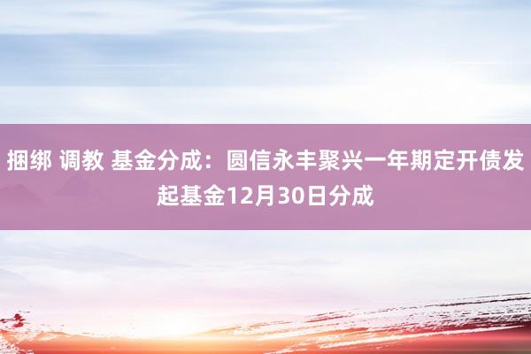 捆绑 调教 基金分成：圆信永丰聚兴一年期定开债发起基金12月30日分成