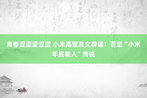 青春涩涩爱涩涩 小米高管发文辟谣！否定“小米年底裁人”传说