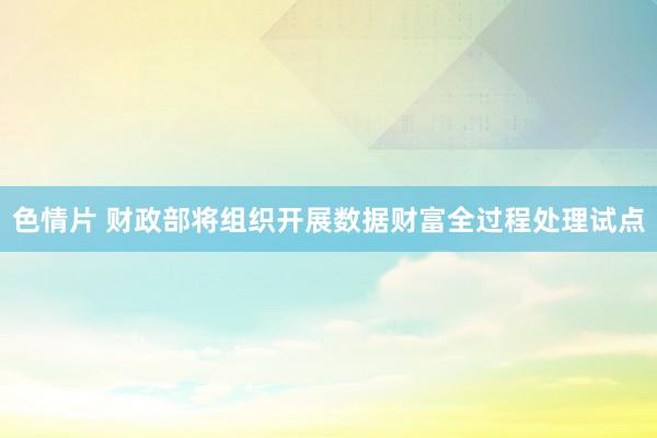 色情片 财政部将组织开展数据财富全过程处理试点