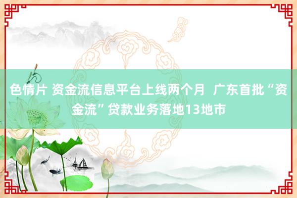 色情片 资金流信息平台上线两个月  广东首批“资金流”贷款业务落地13地市