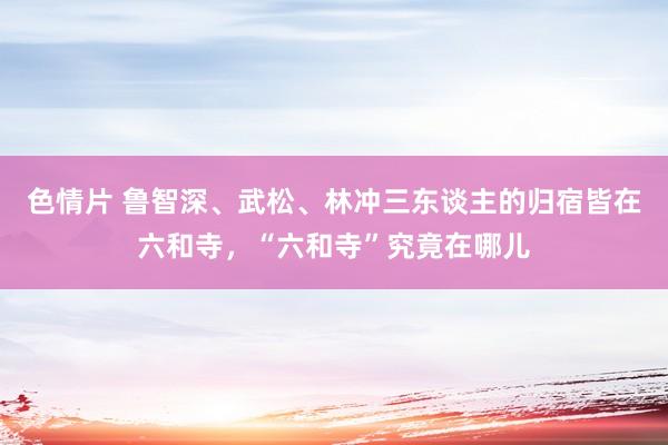 色情片 鲁智深、武松、林冲三东谈主的归宿皆在六和寺，“六和寺”究竟在哪儿