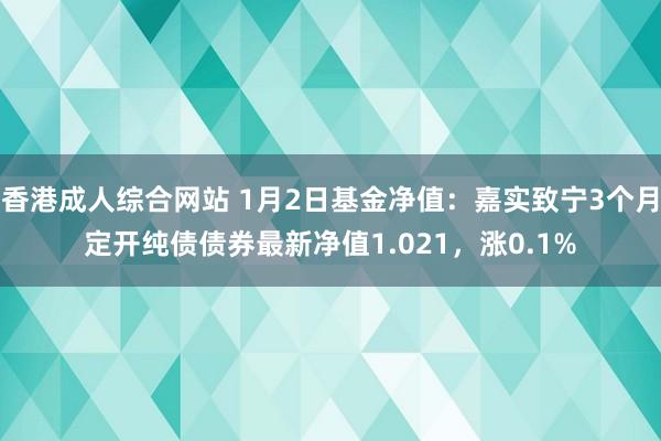 香港成人综合网站 1月2日基金净值：嘉实致宁3个月定开纯债债券最新净值1.021，涨0.1%