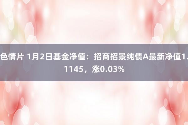 色情片 1月2日基金净值：招商招景纯债A最新净值1.1145，涨0.03%