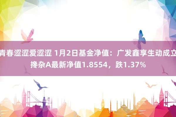 青春涩涩爱涩涩 1月2日基金净值：广发鑫享生动成立搀杂A最新净值1.8554，跌1.37%