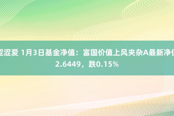 涩涩爱 1月3日基金净值：富国价值上风夹杂A最新净值2.6449，跌0.15%