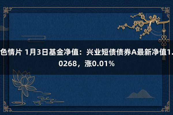 色情片 1月3日基金净值：兴业短债债券A最新净值1.0268，涨0.01%