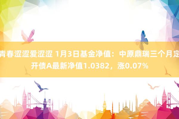 青春涩涩爱涩涩 1月3日基金净值：中原鼎瑞三个月定开债A最新净值1.0382，涨0.07%