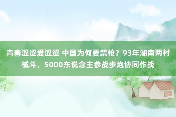 青春涩涩爱涩涩 中国为何要禁枪？93年湖南两村械斗，5000东说念主参战步炮协同作战