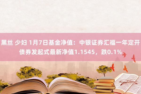 黑丝 少妇 1月7日基金净值：中银证券汇福一年定开债券发起式最新净值1.1545，跌0.1%