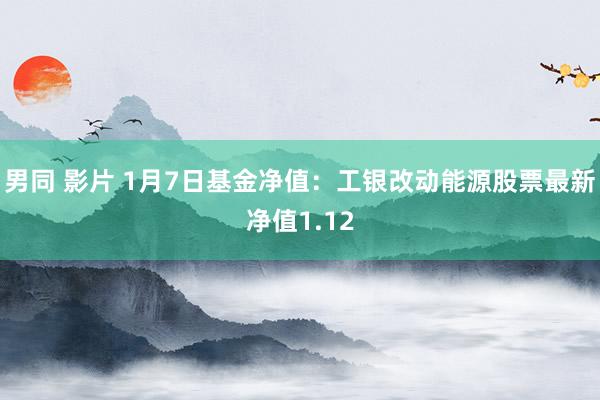 男同 影片 1月7日基金净值：工银改动能源股票最新净值1.12