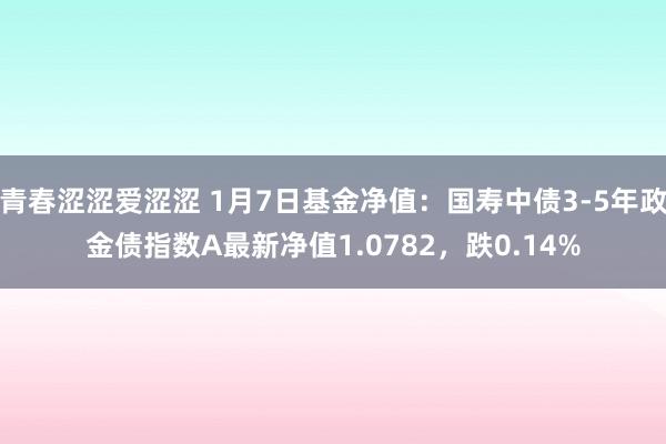 青春涩涩爱涩涩 1月7日基金净值：国寿中债3-5年政金债指数A最新净值1.0782，跌0.14%