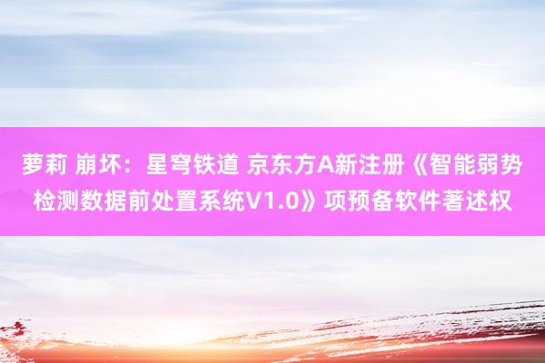 萝莉 崩坏：星穹铁道 京东方A新注册《智能弱势检测数据前处置系统V1.0》项预备软件著述权