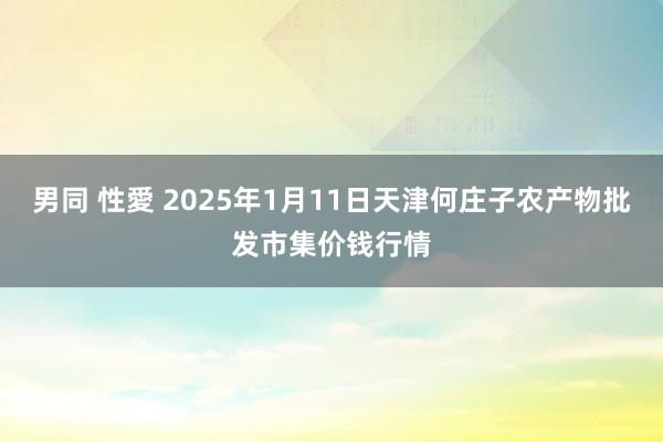 男同 性愛 2025年1月11日天津何庄子农产物批发市集价钱行情