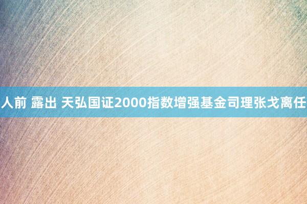 人前 露出 天弘国证2000指数增强基金司理张戈离任