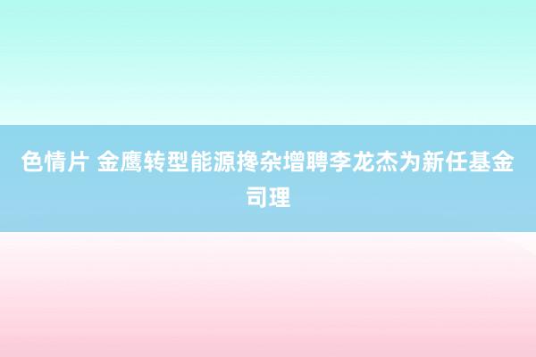 色情片 金鹰转型能源搀杂增聘李龙杰为新任基金司理