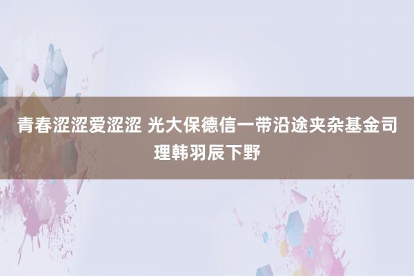 青春涩涩爱涩涩 光大保德信一带沿途夹杂基金司理韩羽辰下野