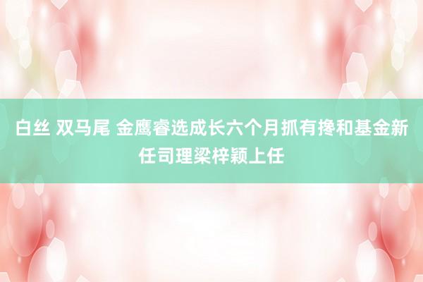 白丝 双马尾 金鹰睿选成长六个月抓有搀和基金新任司理梁梓颖上任