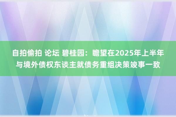 自拍偷拍 论坛 碧桂园：瞻望在2025年上半年与境外债权东谈主就债务重组决策竣事一致