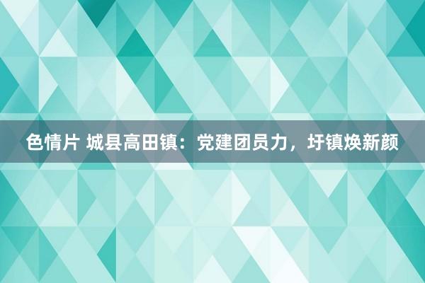 色情片 城县高田镇：党建团员力，圩镇焕新颜