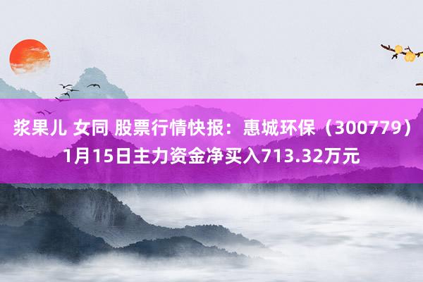 浆果儿 女同 股票行情快报：惠城环保（300779）1月15日主力资金净买入713.32万元